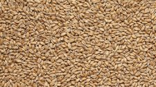 КУРСКИЙ СОЛОД ПШЕНИЧНЫЙ WHEAT 1КГ